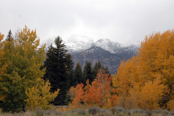Western states fall colors