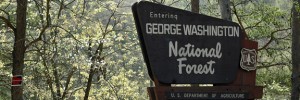 Entering GWNF sign