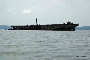 Mallow's Bay Ship Wreck