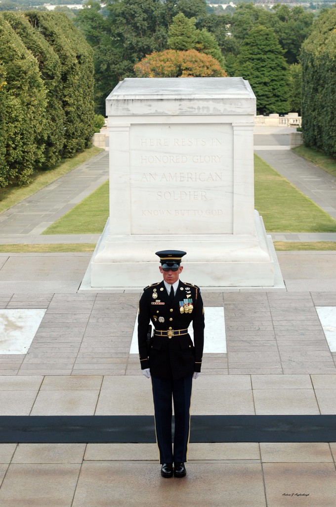 Tomb Unknown Soldier Guard 2