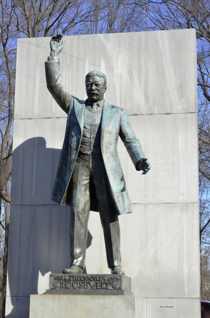 TR Statue on Theodore Roosevelt Island