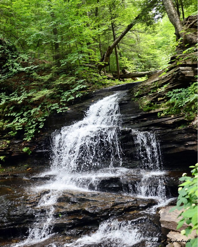 The Waterfalls Of Ricketts Glen State Park Augies Adventuresaugies