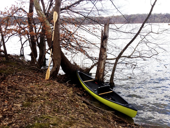 Bending Branches kayak paddle
