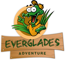 Everglades tour adventure